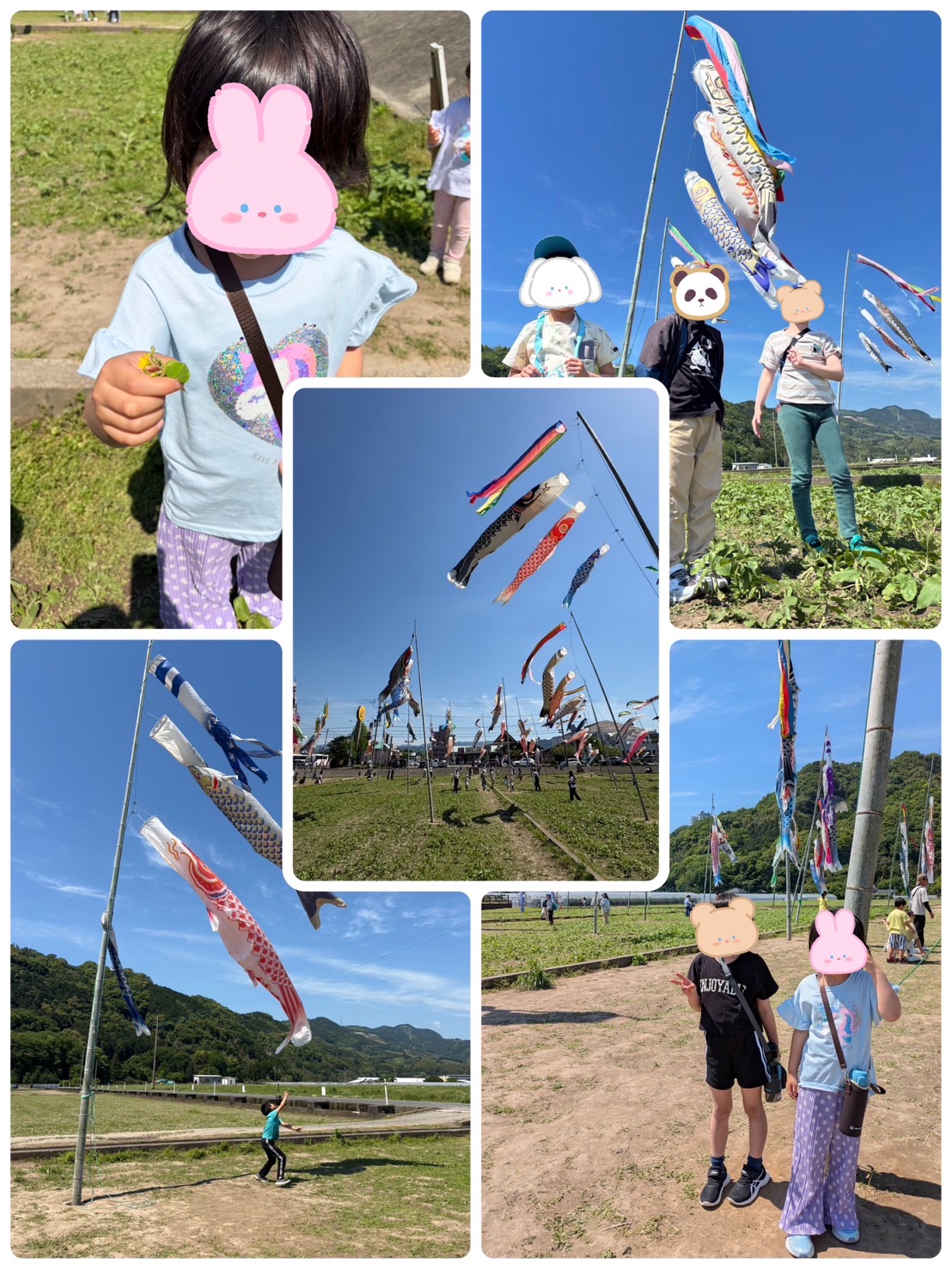 鯉のぼり🎏