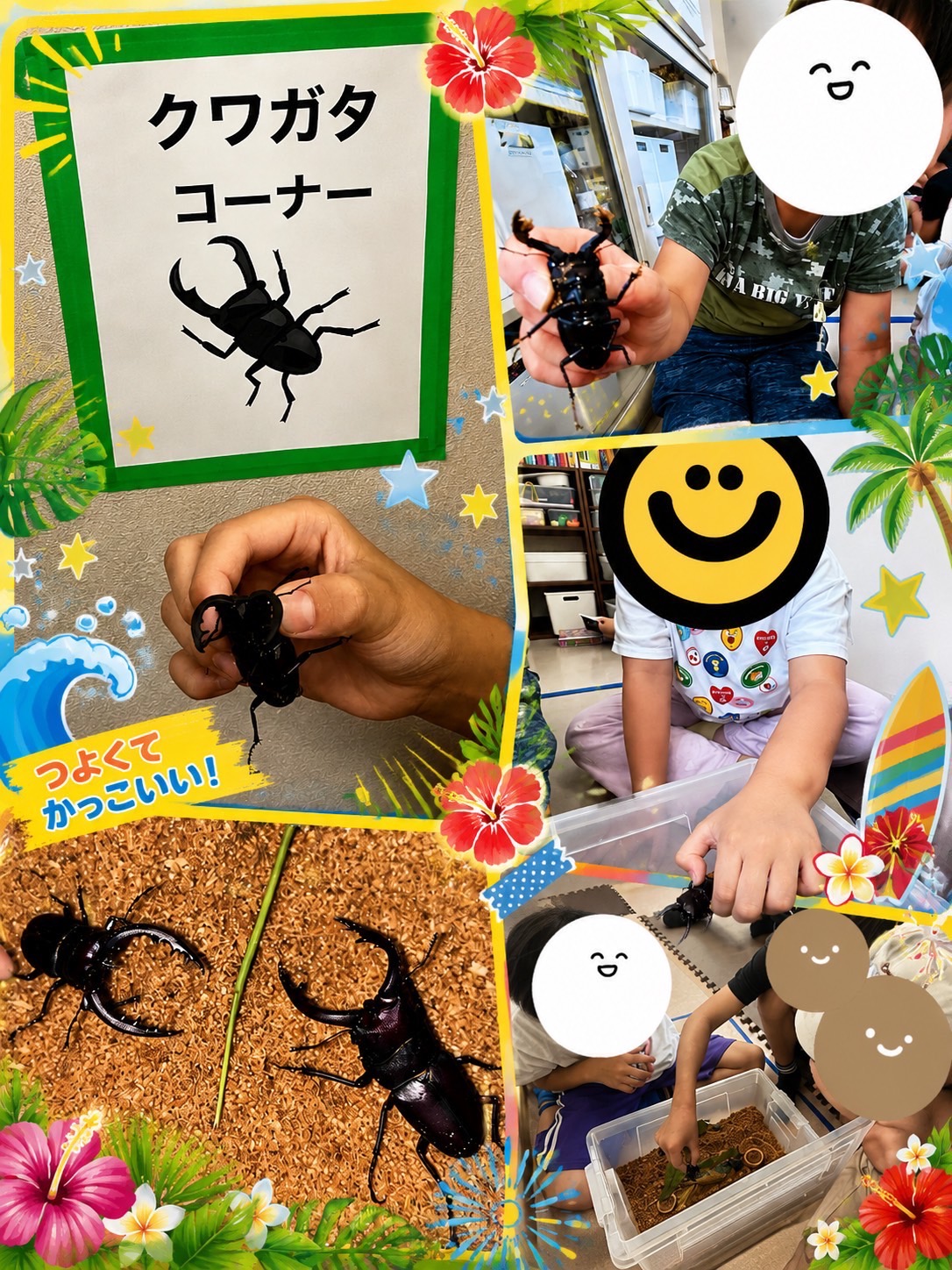 カブトムシクワガタコーナー
