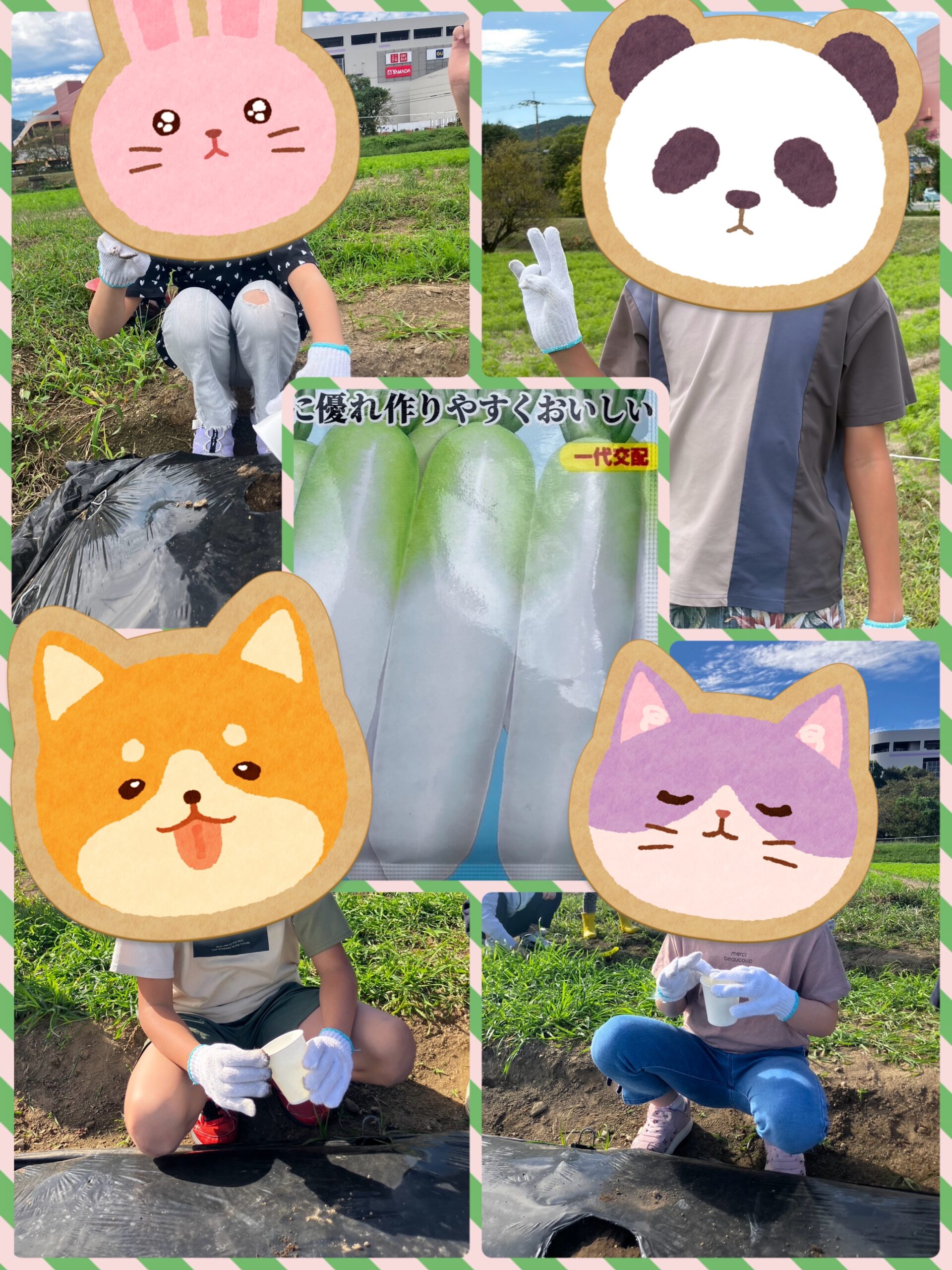 ドリーム農園